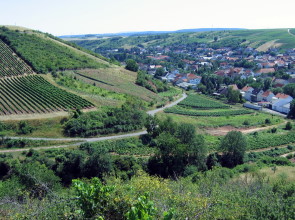Guldental am Sonnenberg