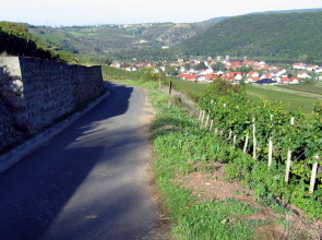 Blick auf Niederhausen
