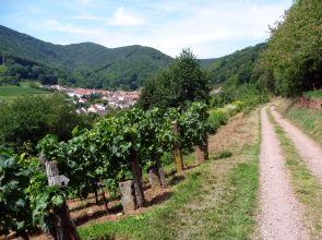 Blick auf Gr&auml;fenhausen