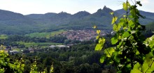 Zum Weinlehrpfad Guldental