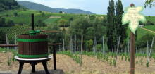 Zum Weinwanderweg Niederhausen