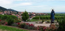 Zum Weinlehrpfad Guldental