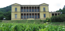 Villa Ludwigsh&ouml;he