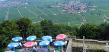 Rietburg