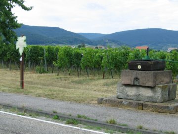 Alte Kelter