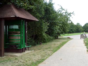 Schautafel "Ursprünge der Rebkultur"