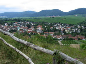 Blick auf Ilbesheim