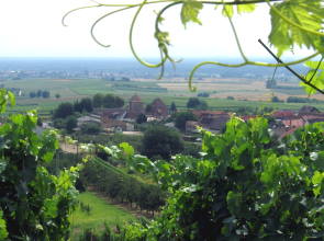 Blick auf Schweigen-Rechtenbach
