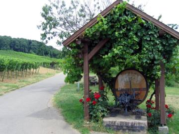 Ein Denkmal für die Reblaus
