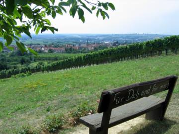 Blick von der Bank