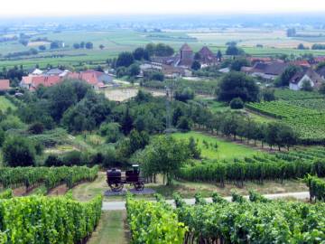 Blick zum Tor