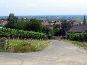 Zurück ins Dorf