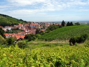 Blick auf St. Martin