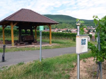 Alte Kelter und Rebsortentafel Chardonnay