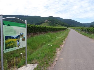 Tafel Rebflurbereingung