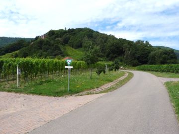 Blick auf die Kropsburg