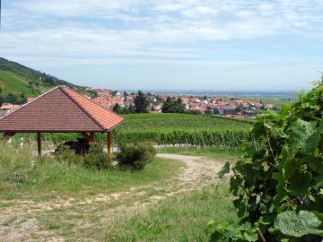 Blick auf St. Martin