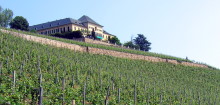 Schloss Johannisberg