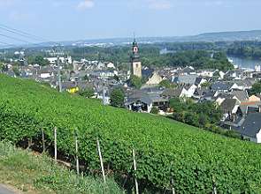 Blick auf Rüdesheim