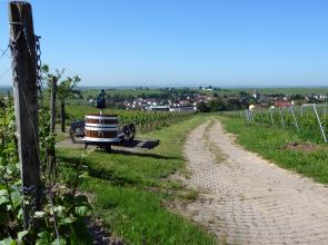 Blick auf Bechtheim