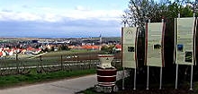 Zum Weinlehrpfad Bodenheim