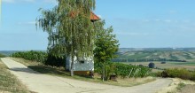 Zum Weinlehrpfad Jugenheim