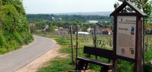 Zum Weinlehrpfad Bingen-Kempten