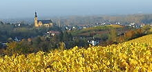 Zum Weinlehrpfad Nackenheim
