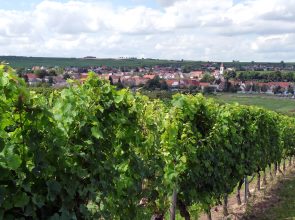 Blick auf Fl&ouml;rsheim