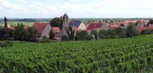 Dalsheim