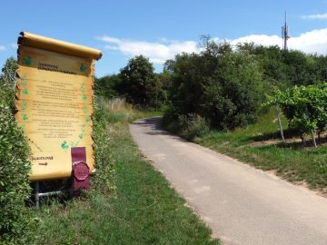 Gr0&szlig;e Infotafel am Grillplatz