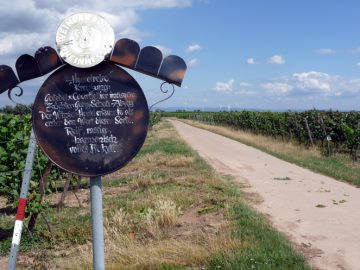 Rebsortentafel Huxelrebe