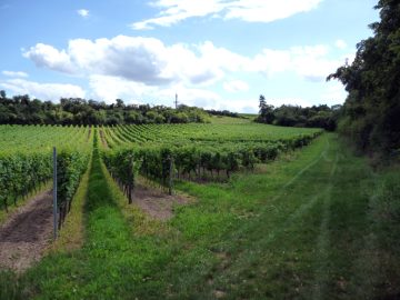 Am Fu&szlig;e des Kirchbergs