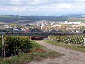 Blick auf Spiesheim