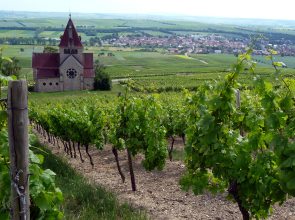 Blick auf Gau-Bickelheim