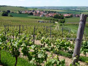 Blick auf Gau-Heppenheim