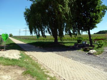 Ruhebänke unter Bäumen