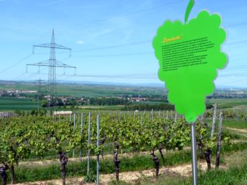 Tafel Erzw&auml;sche