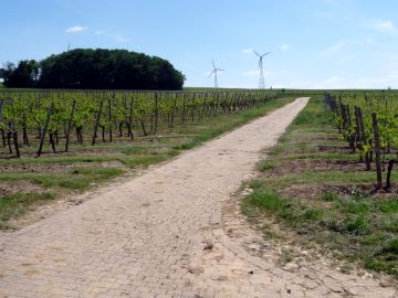 Richtung Windr&auml;der