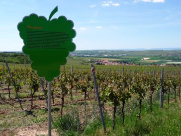 Schutzh&uuml;tte am Beginn des Lehrpfads