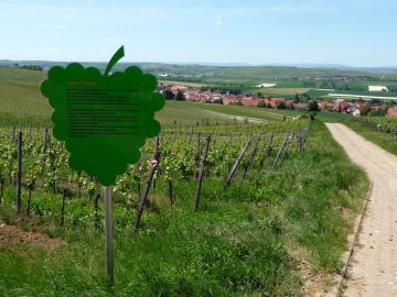 Schutzh&uuml;tte am Beginn des Lehrpfads