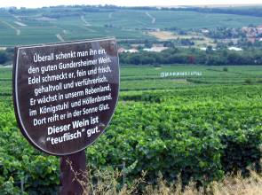 Blick auf Gundersheim