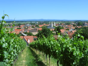 Blick auf Guntersblum