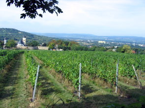 Blick auf die Ingelheimer Burgkirche