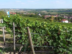 Blick auf Jugenheim