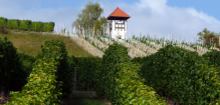 Der wei&szlig;e Turm