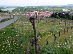 Blick auf Kempten