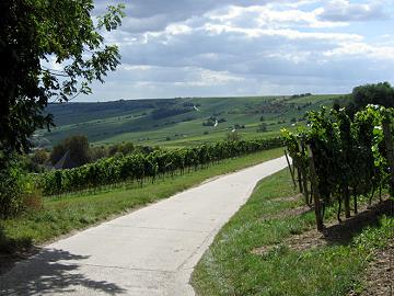 Durch den Herrenberg