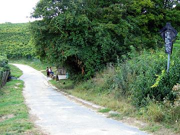 Rebsortentafel Kerner