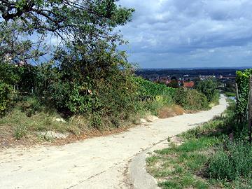 Durch den Sacktr&auml;ger